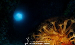 TUNNEL - the other side... by Claudia Weber-Gebert 